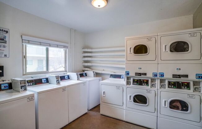 Studio, 1 bath, 300 sqft, $1,550, Unit 60