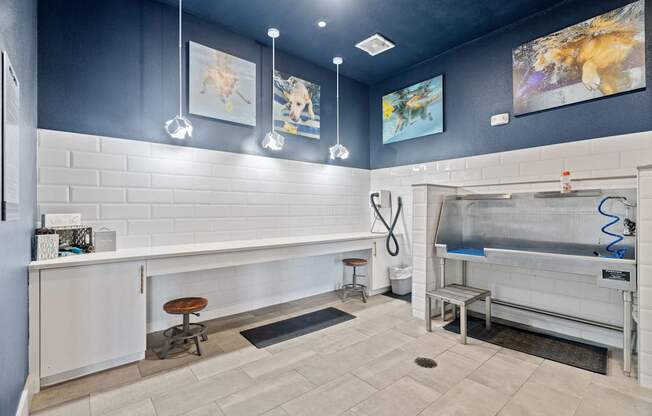 A modern kitchen with a white counter and a sink.