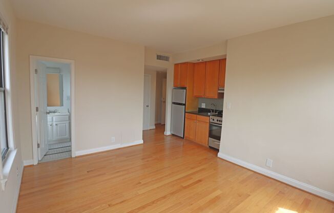 Studio, 1 bath, 460 sqft, $1,750, Unit H612