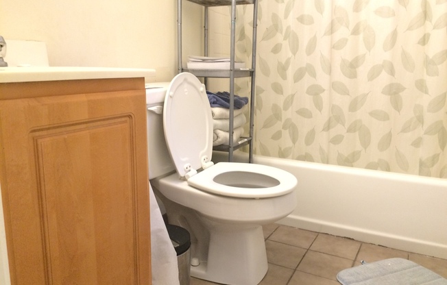 2 beds, 1 bath, 782 sqft, $2,900, Unit 02-B1