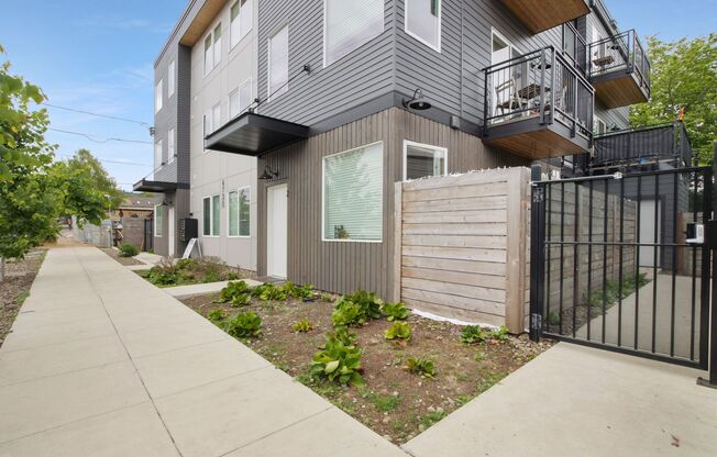 Sunnyside 12