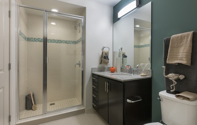 Bathrooms in all apartment homes are modern and feature designer touches.