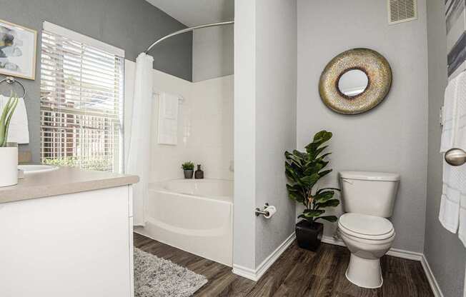 a bathroom with a toilet and a bath tub