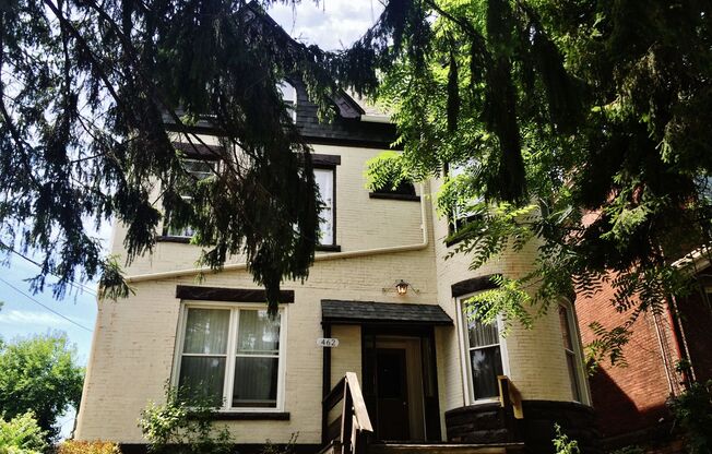 Bloomfield - Apartments For Rent In Pittsburgh