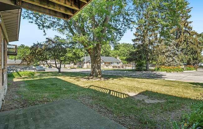 A tree-lined yard with a concrete walkway.