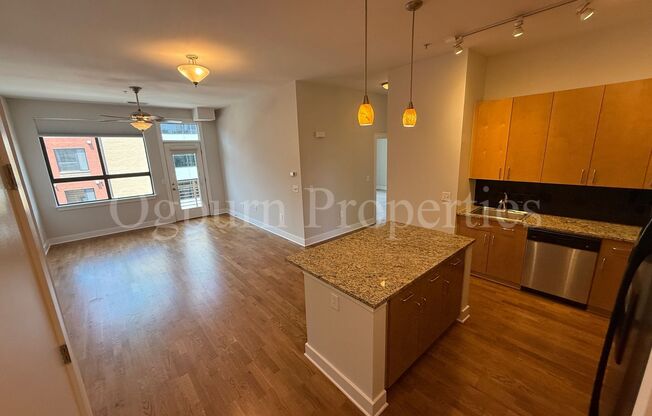 810-406 W. 4th St-2BR/1BA 4th & Broad Condo!
