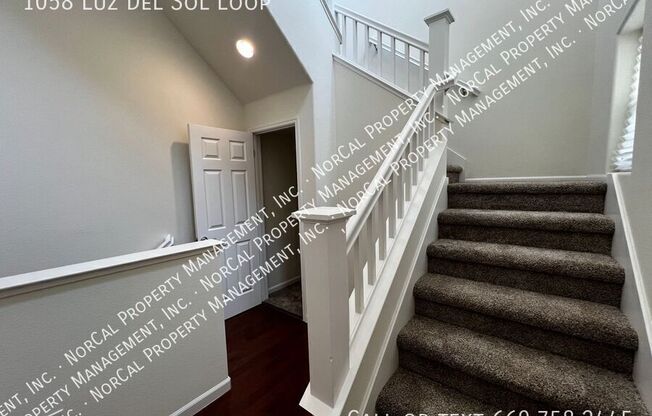 1058 LUZ DE SOL LOOP