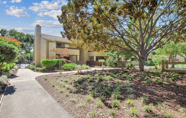 a sidewalk in front of a building with trees and plants at Summerwood Apartments, Santa Clara