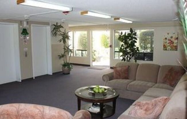Springpointe Apartments