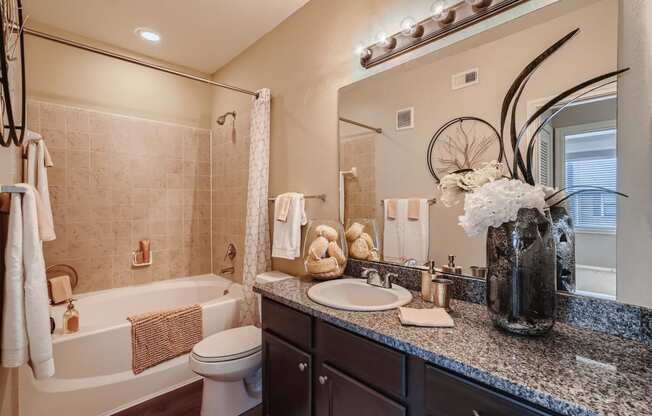 a bathroom with a sink and a toilet and a tub