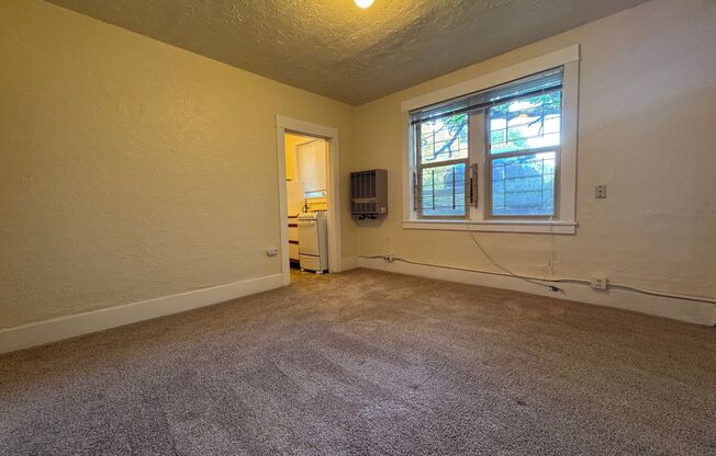 Studio, 1 bath, 326 sqft, $1,295, Unit 03
