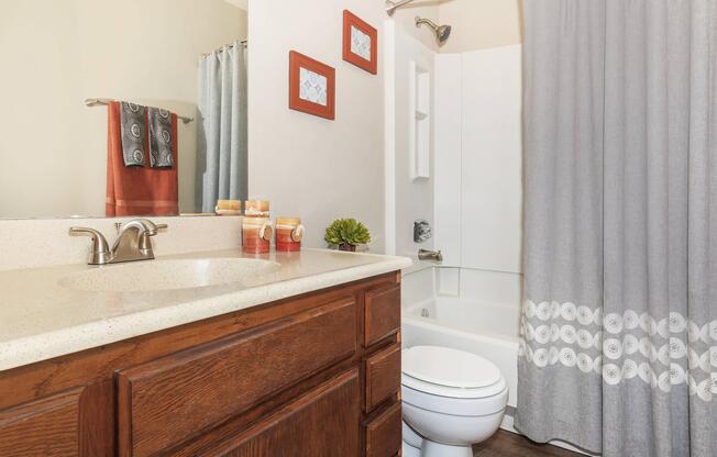 a shower curtain next to a sink