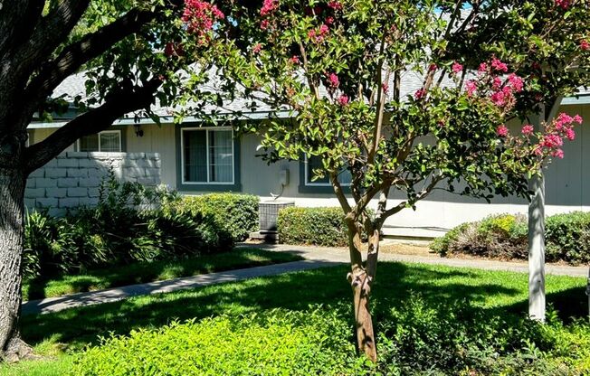 1 bed, 1 bath, 700 sqft, $1,299, Unit 39