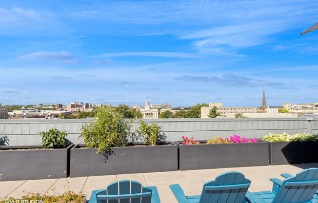 Studio, 1 bath, 266 sqft, $1,130, Unit #202