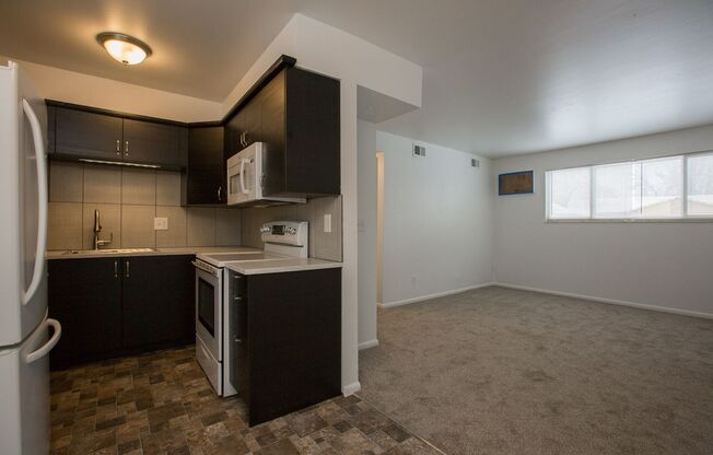 2925 Somerville 1