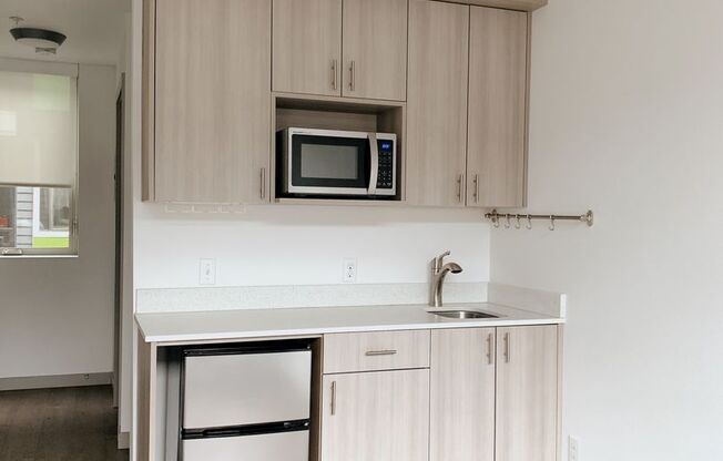 Studio, 1 bath, 167 sqft, $1,000, Unit A212