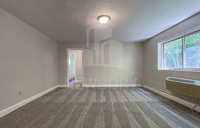 1 bed, 1 bath, 520 sqft, $699, Unit 309-06