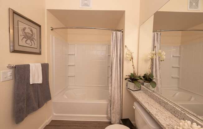 Stoneridge model 1 primary bathroom shower