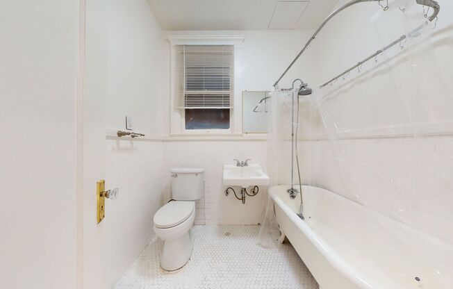 Studio, 1 bath, 489 sqft, $1,628, Unit 223