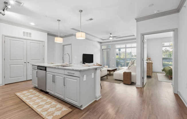 Living Room with Hard Surface Flooring