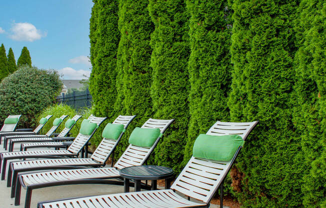 a row of chaise lounges in front of a tall green hedge