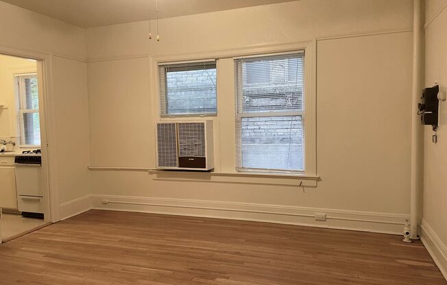 Studio, 1 bath, 350 sqft, $995, Unit 207