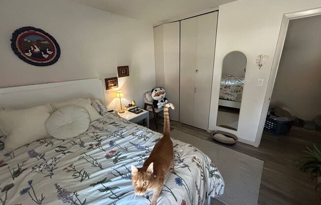 2 beds, 1 bath, $1,395, Unit 123