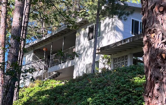 NICE QUAINT APARTMENT IN COLFAX!!