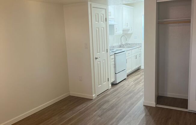 Studio, 1 bath, 360 sqft, $937, Unit 1107