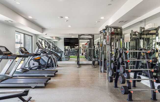 Rhythm State-of-the-art Fitness Center with Free Weights and Cardio Machines