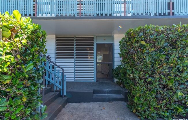 RECENTLY RENOVATED GROUND FLOOR PUALEI CIRCLE STUDIO!