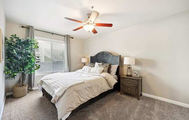 a bedroom with a ceiling fan and a bed