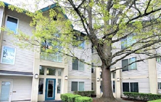 English Gardens Apartments