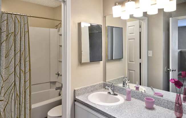 Greentree Apartments in Savannah, GA photo of a bathroom with a sink and a shower and a mirror