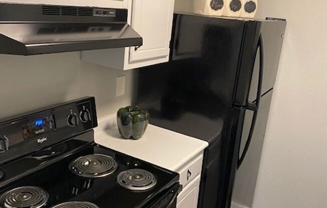 1 bed, 1 bath, 730 sqft, $800