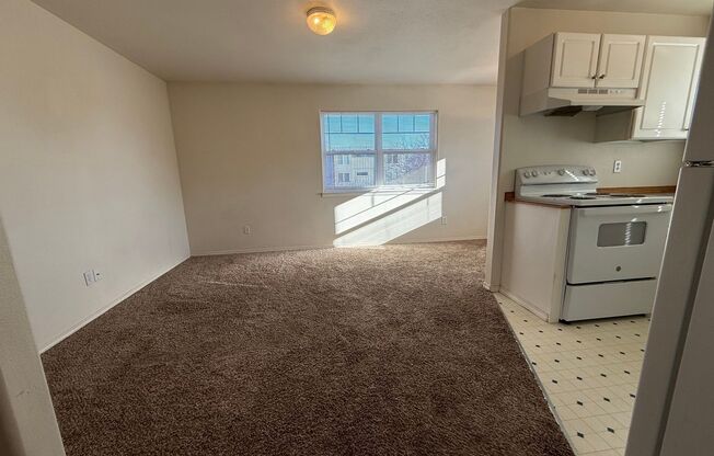 1 bed, 1 bath, 700 sqft, $1,695, Unit 3