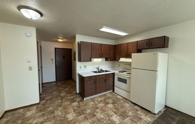 Studio, 1 bath, 300 sqft, $550, Unit 2537-15