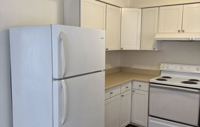 1 bed, 1 bath, 550 sqft, $950, Unit Apt 01