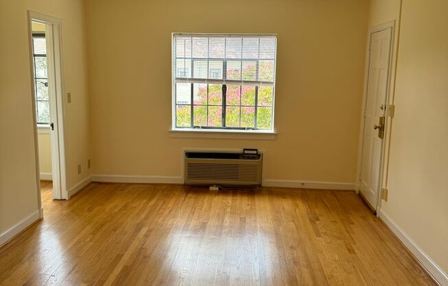 Studio, 1 bath, 380 sqft, $1,100, Unit Unit A6