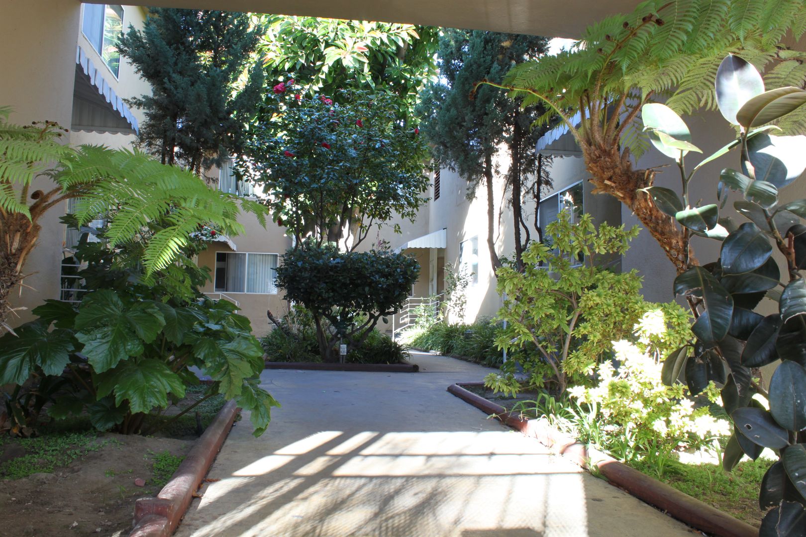 252   1167 Fairfax Apts.