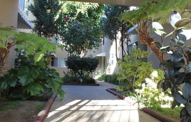 252   1167 Fairfax Apts.
