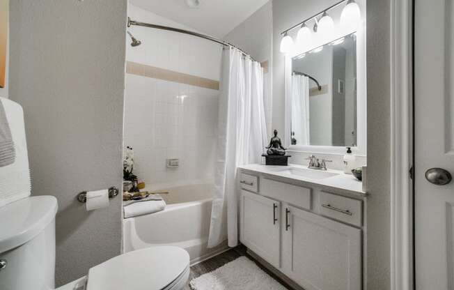 a bathroom with a sink toilet and a shower