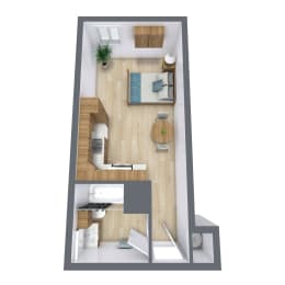 Studio, 1 bath, $680