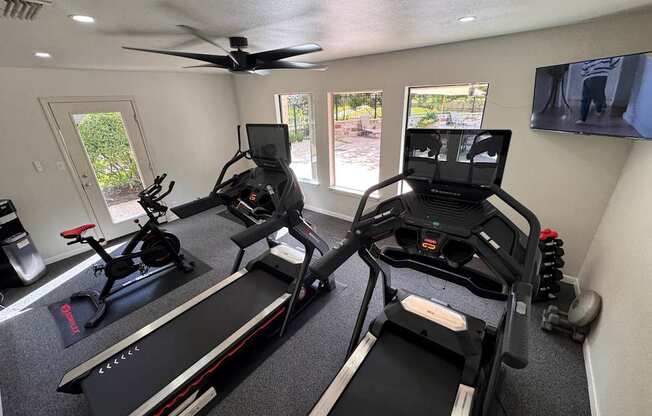 A room with a treadmill and a fan.