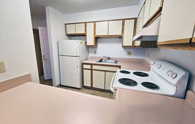 1 bed, 1 bath, 500 sqft, $869