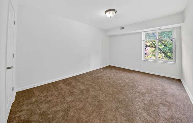 A room with a carpeted floor and a window with a view of trees.