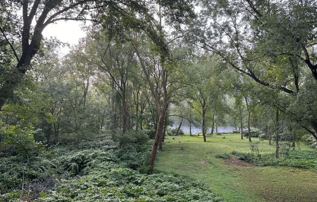 Riverfront home in a quiet spot, 3 acres, deck, parking, laundry, storage, fireplace