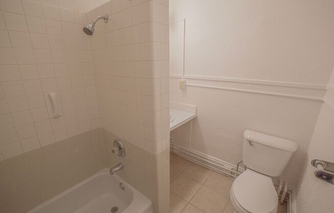 1 bed, 1 bath, 385 sqft, $575, Unit 501