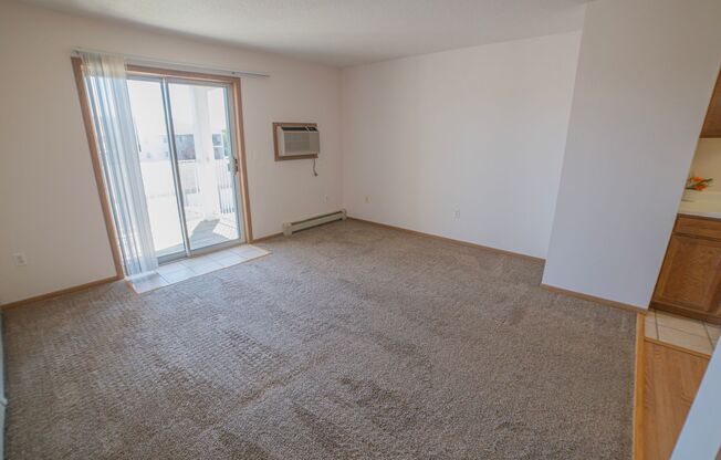 Studio, 1 bath, 390 sqft, $660, Unit 1414-207