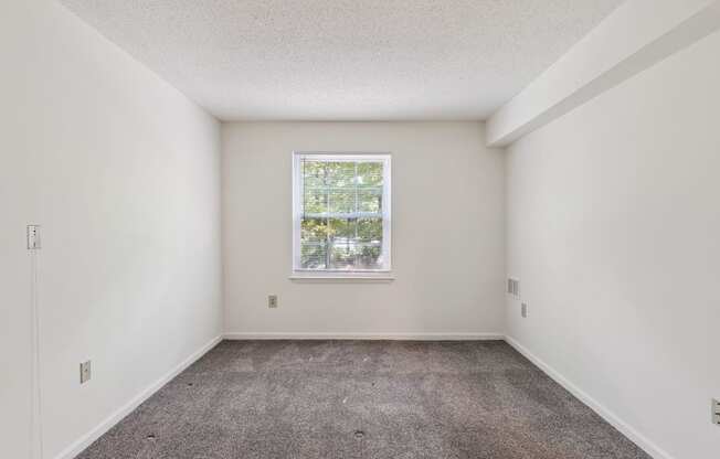 A room with a window and carpeted floor.